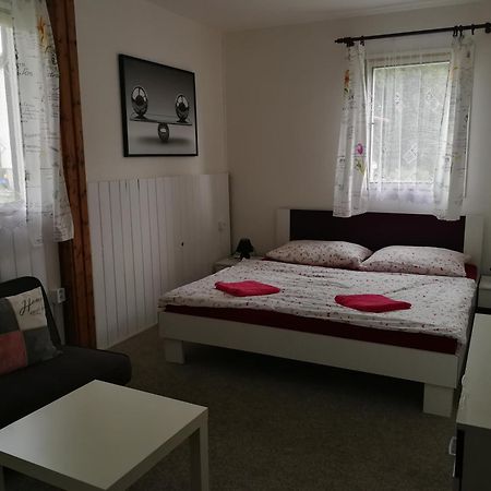 Hotel Penzion Tomy Na Plazi à Frymburk Extérieur photo