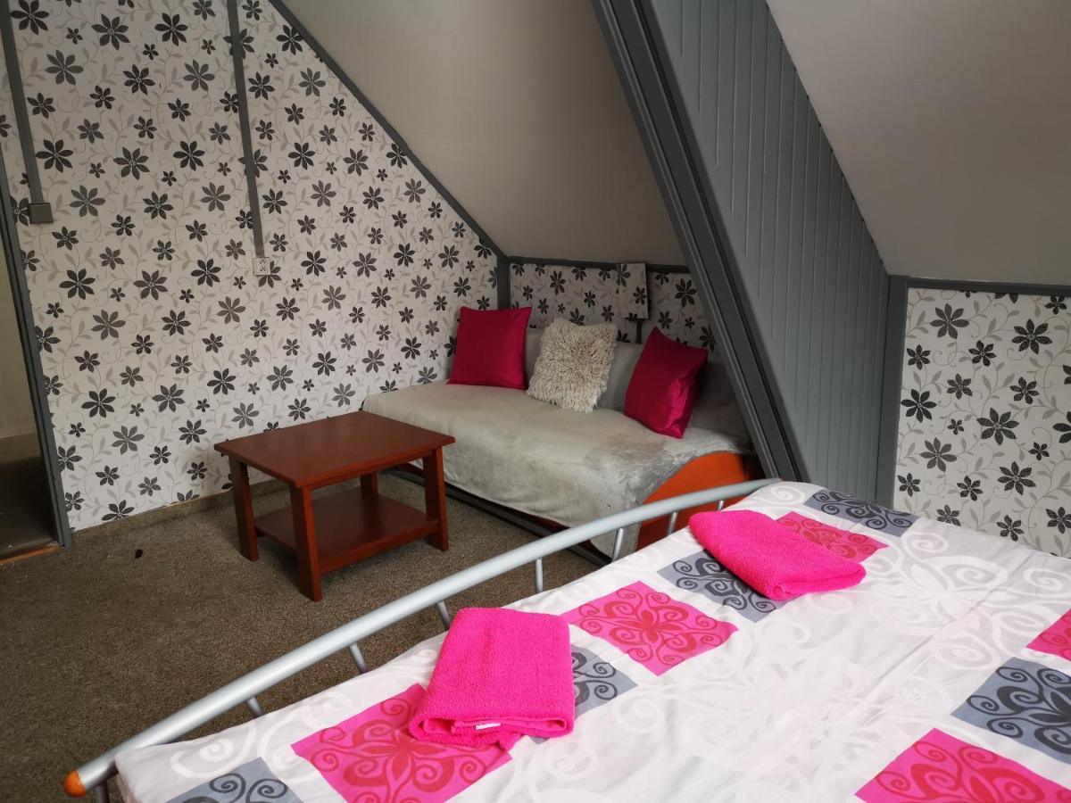 Hotel Penzion Tomy Na Plazi à Frymburk Extérieur photo