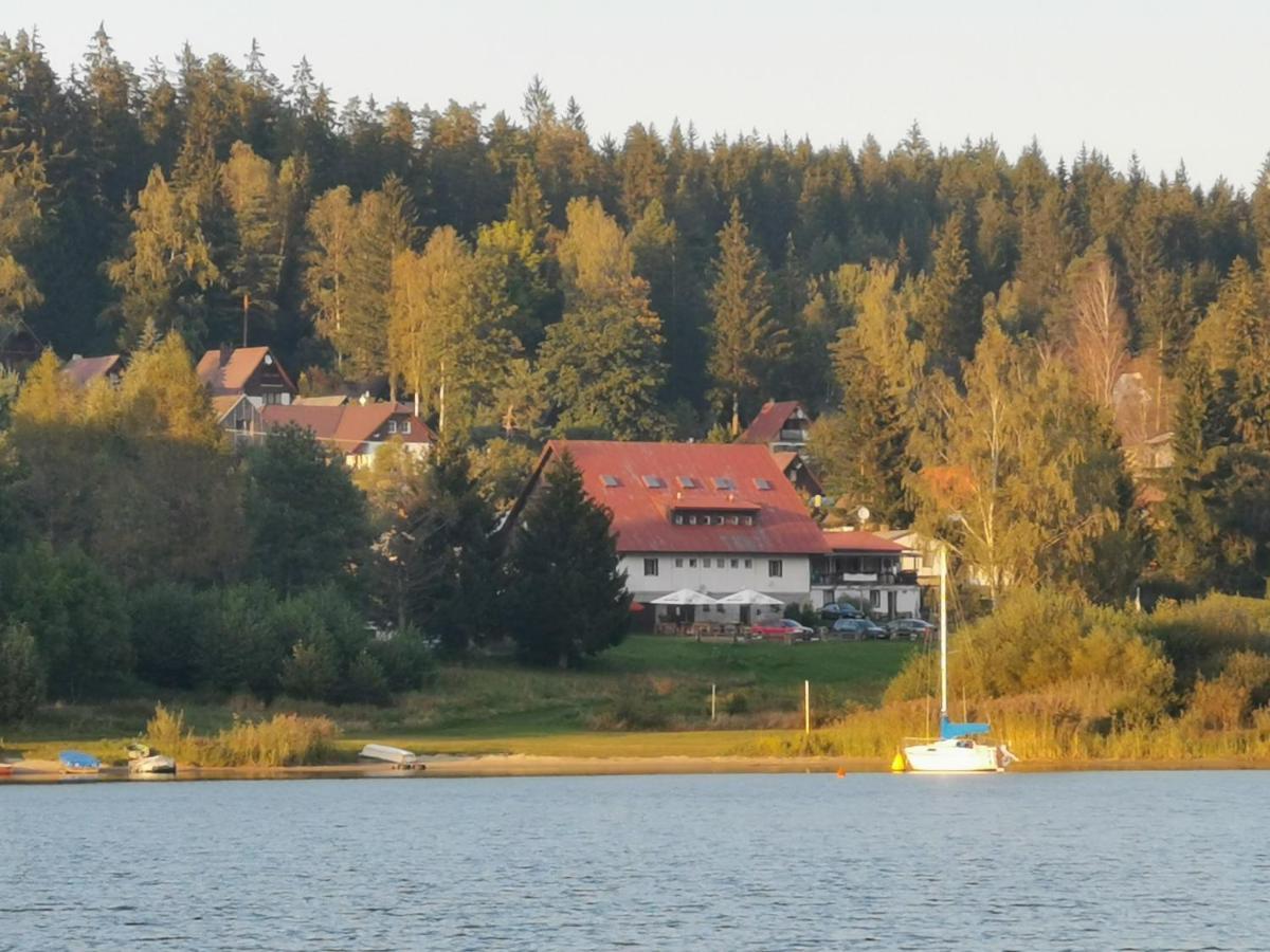 Hotel Penzion Tomy Na Plazi à Frymburk Extérieur photo