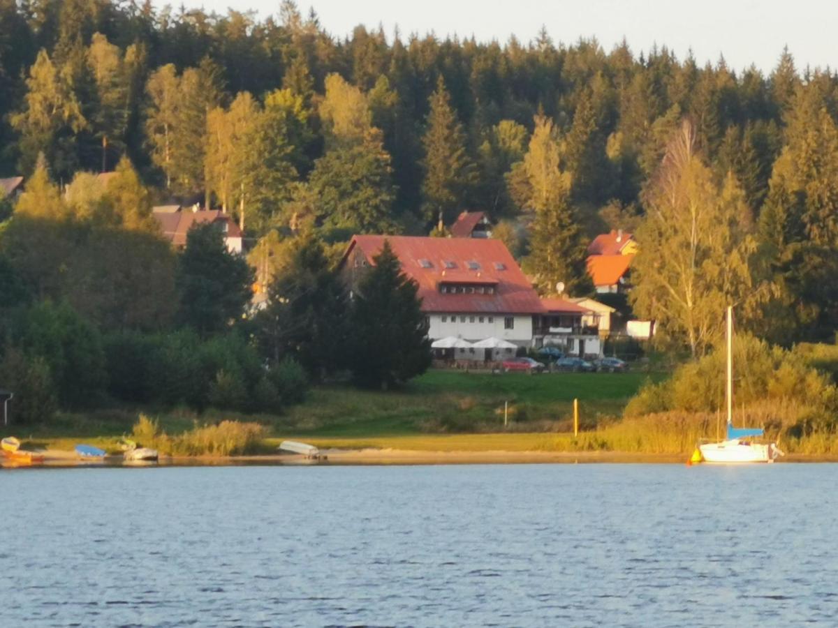 Hotel Penzion Tomy Na Plazi à Frymburk Extérieur photo