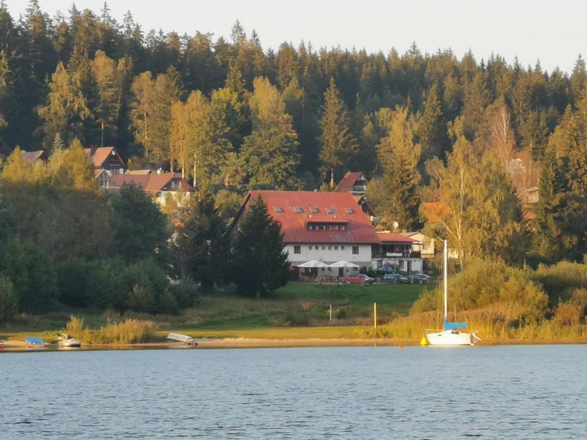Hotel Penzion Tomy Na Plazi à Frymburk Extérieur photo
