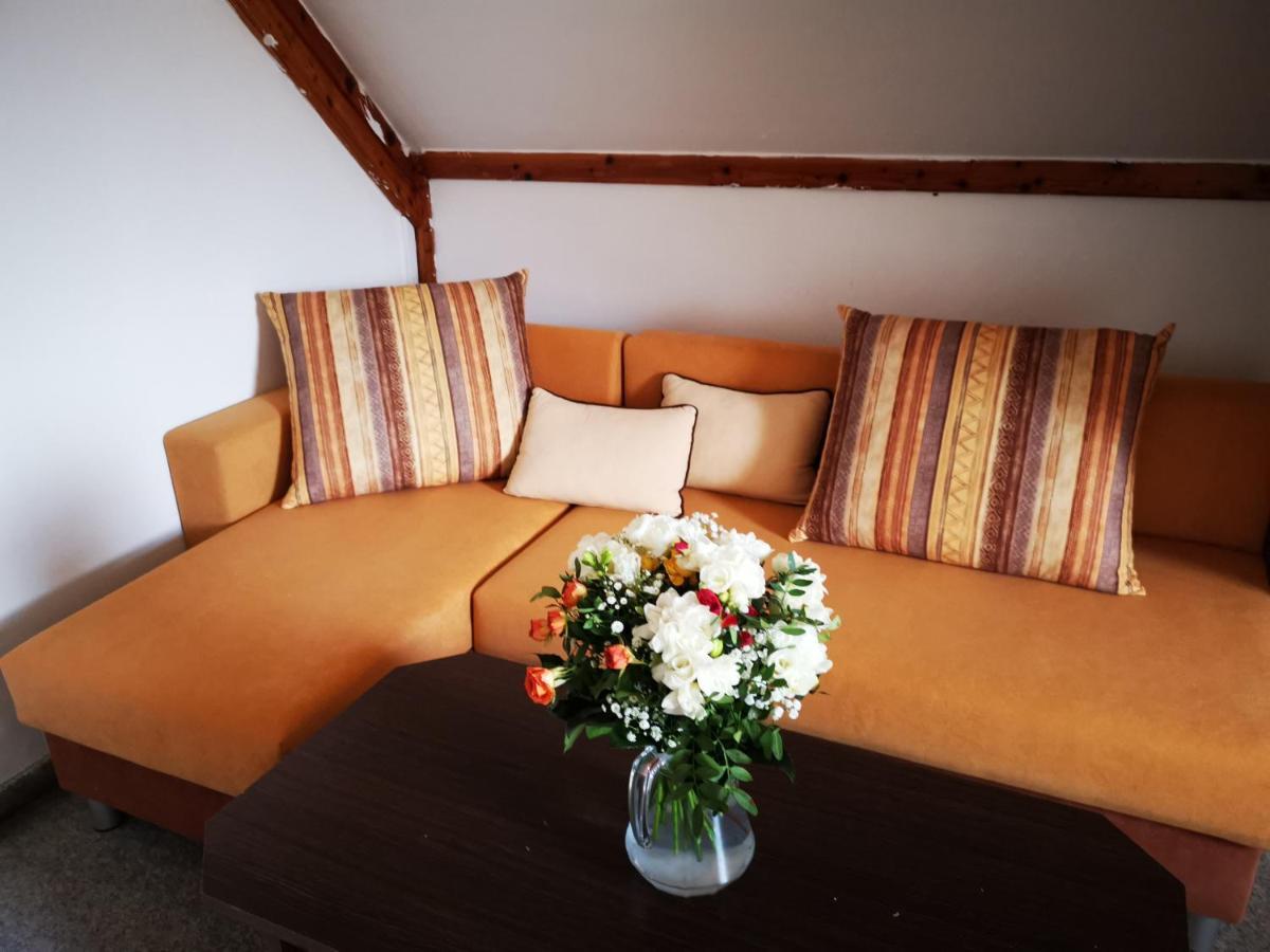 Hotel Penzion Tomy Na Plazi à Frymburk Extérieur photo