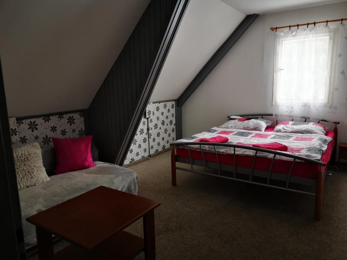 Hotel Penzion Tomy Na Plazi à Frymburk Extérieur photo
