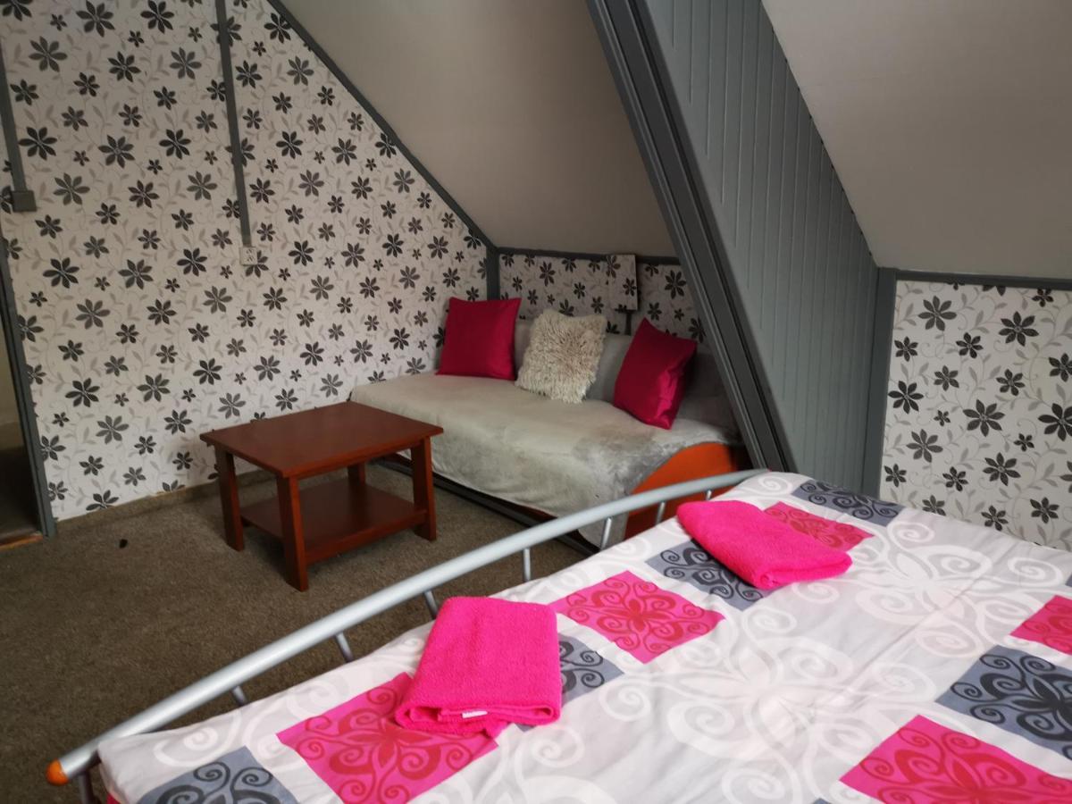 Hotel Penzion Tomy Na Plazi à Frymburk Extérieur photo