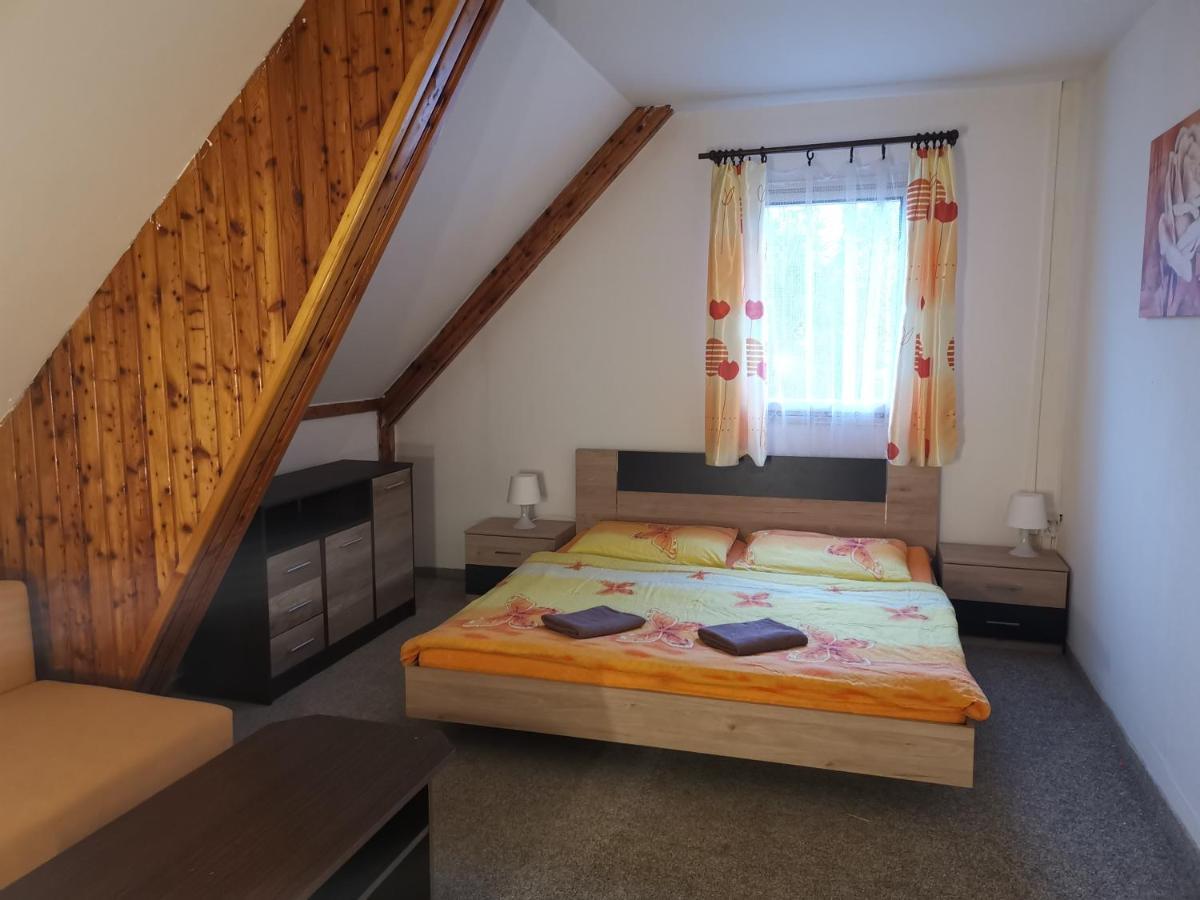 Hotel Penzion Tomy Na Plazi à Frymburk Extérieur photo